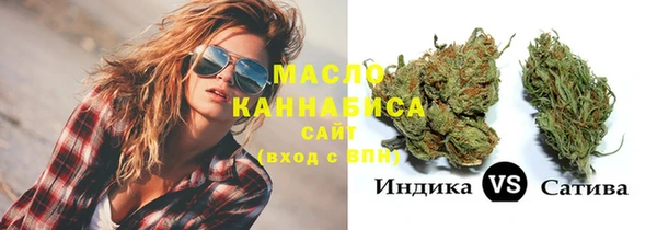 молекула духа Тайга