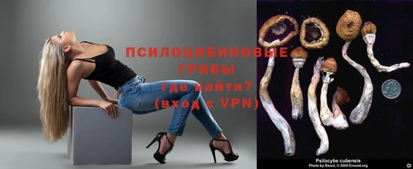 молекула духа Тайга
