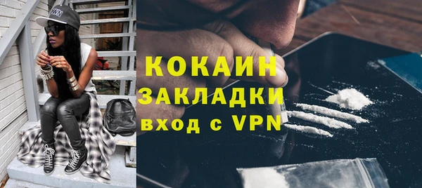 молекула духа Тайга