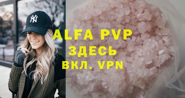 молекула духа Тайга