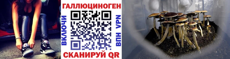 Псилоцибиновые грибы прущие грибы  Купить закладки  Балабаново 