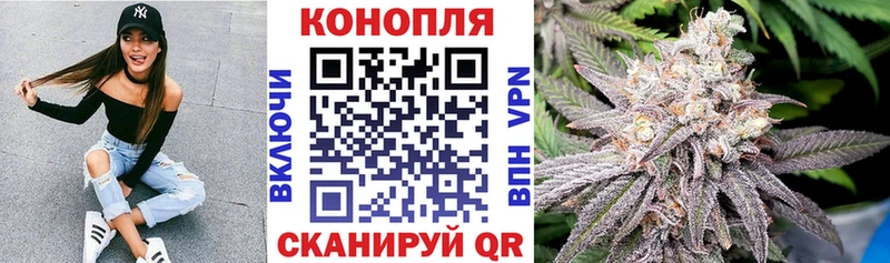 Канабис Bruce Banner  Купить закладки  Балабаново 